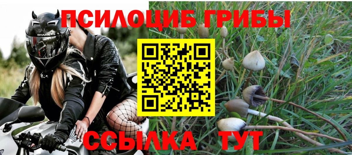 Ижевск  где продают наркотики  Вход с VPN  Галлюциногенные грибы Psilocybe 