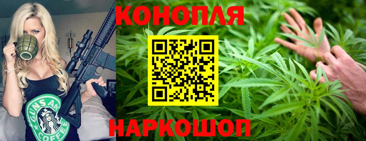 Каннабис гибрид  Вход с VPN  Бошки марихуана тримм  МАРИХУАНА ГИДРОПОН  Ижевск 